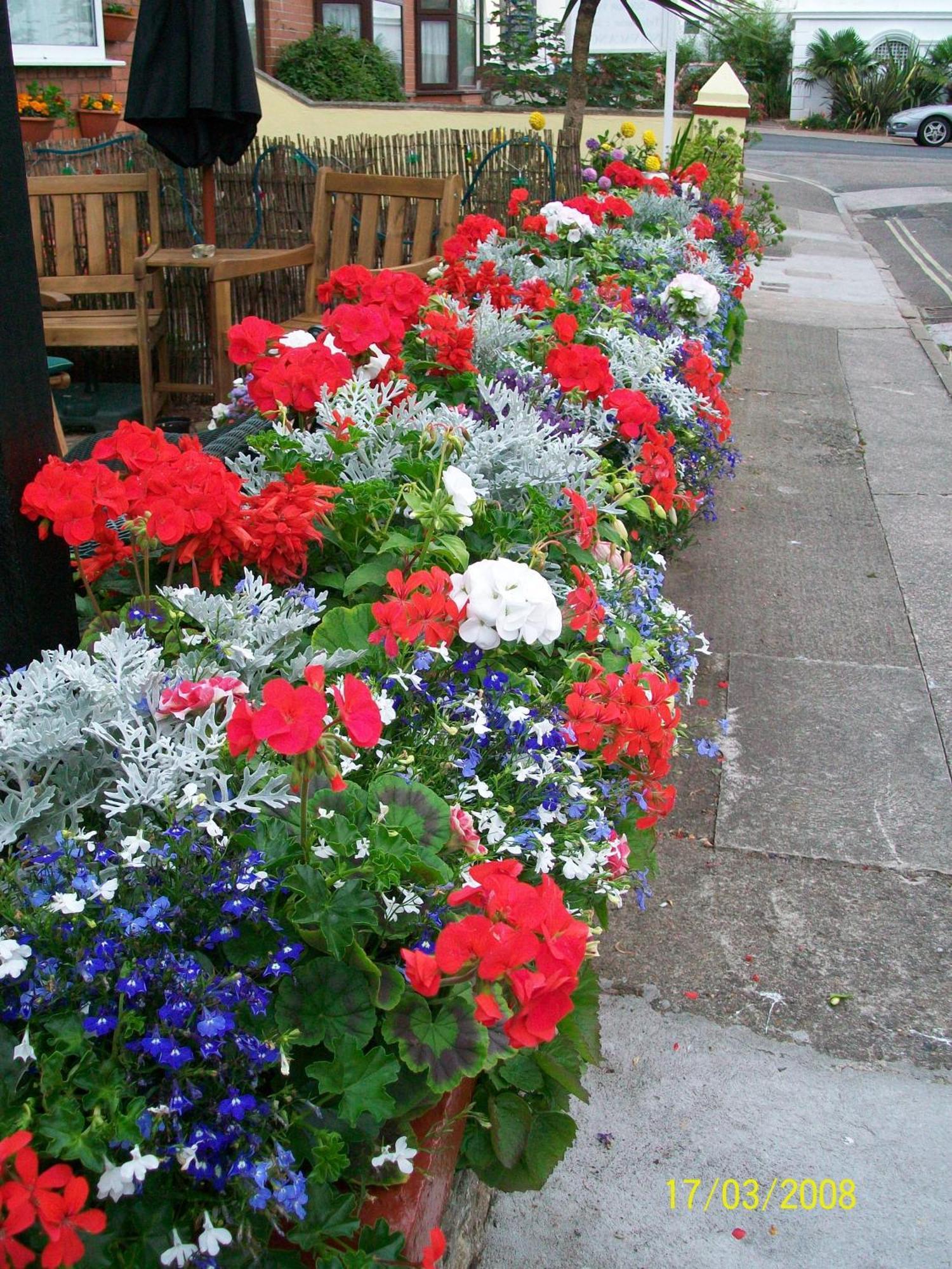 Bed and Breakfast Trentham House Paignton Esterno foto